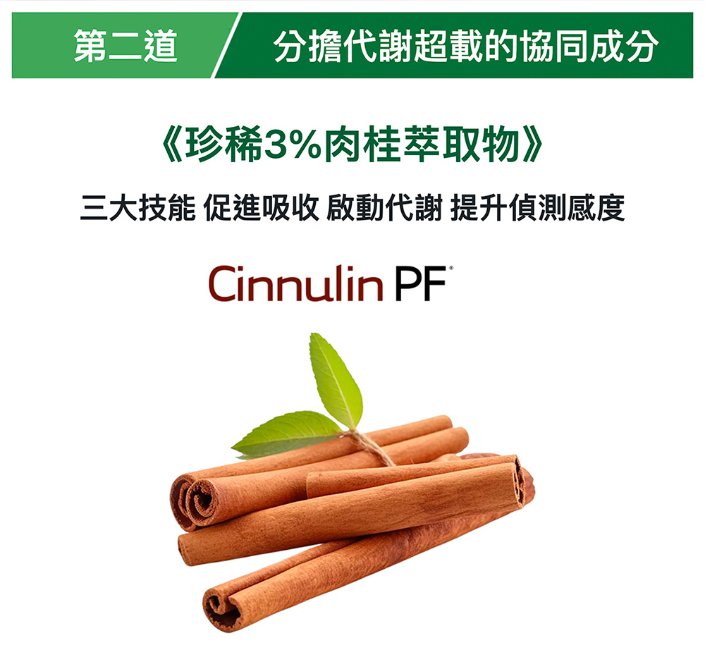 第二道 分擔代謝超載的協同成分 珍稀3%肉桂萃取物 三大技能 促進吸收 啟動代謝 提升偵測感度 