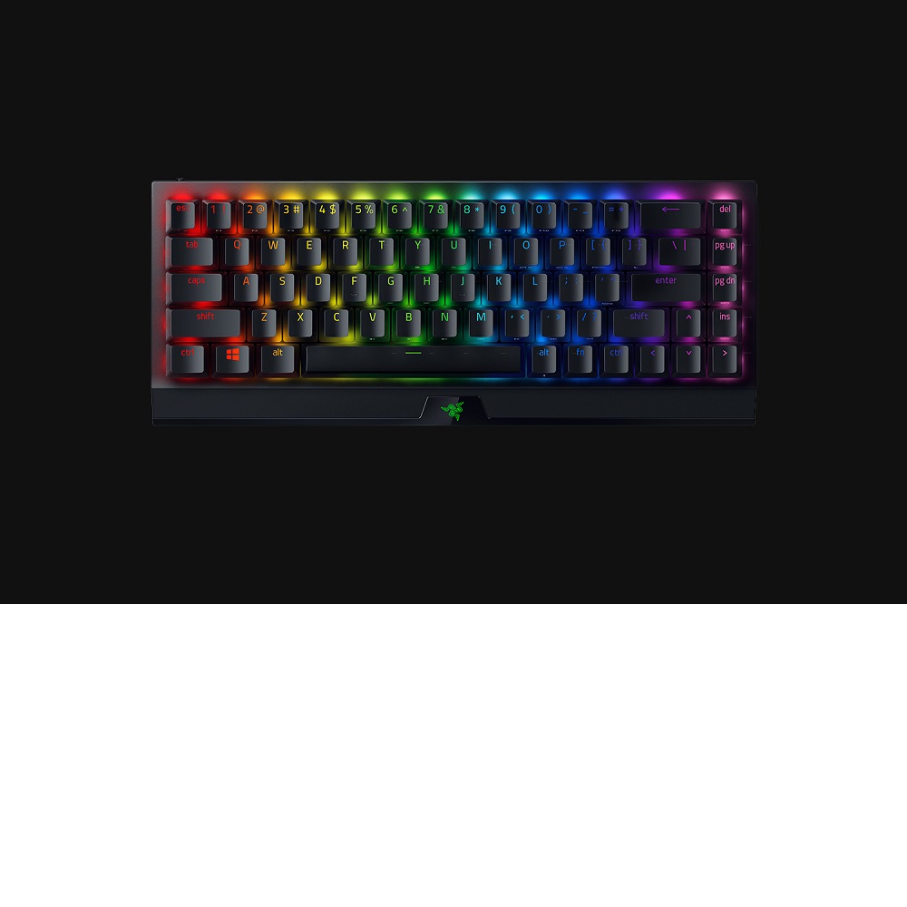 Razer 雷蛇 BlackWidow V3 Mini 黑寡