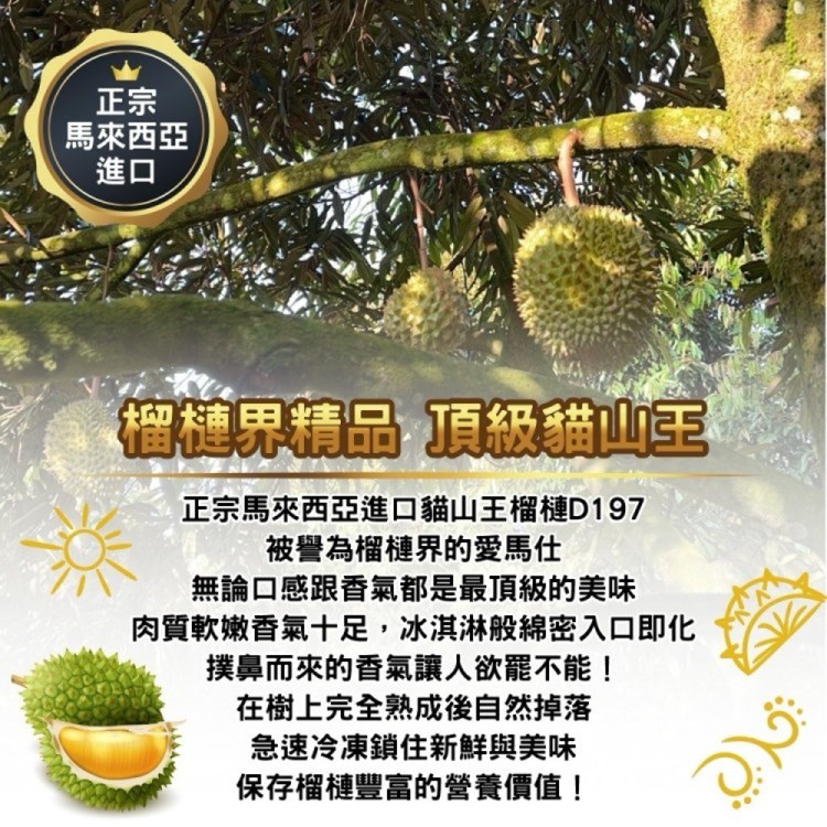 WANG 蔬果 馬來西亞老樹貓山王榴槤400gx2盒(冷凍榴