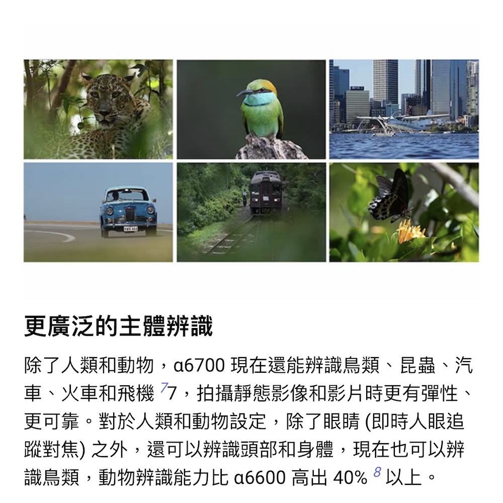 除了人類和動物,a6700 現在還能辨識鳥類、昆蟲、汽
