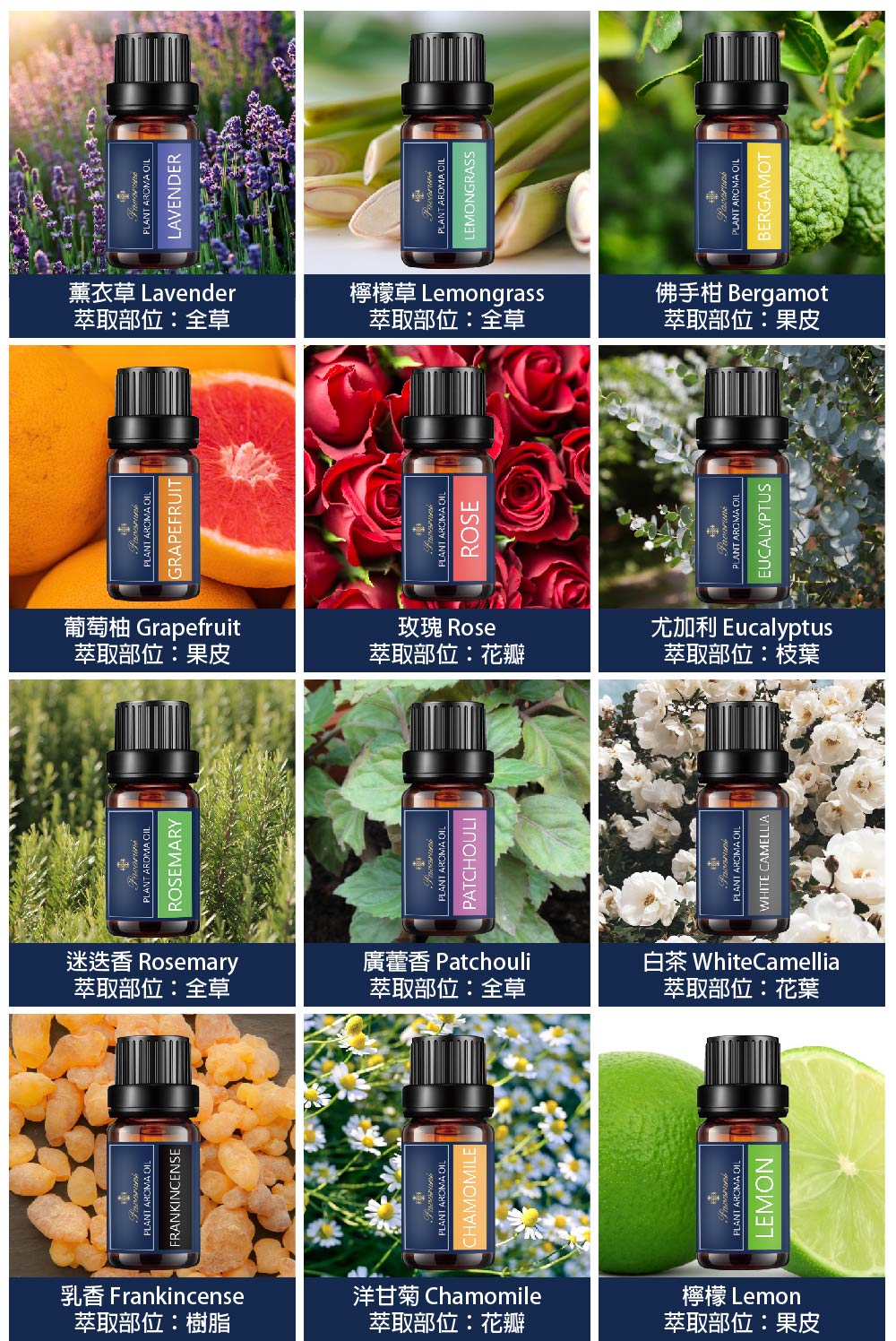 乳香 Frankincense