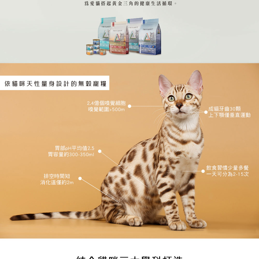 TRILOGY 奇境 無穀凍乾全貓糧300gx3包(貓飼料/