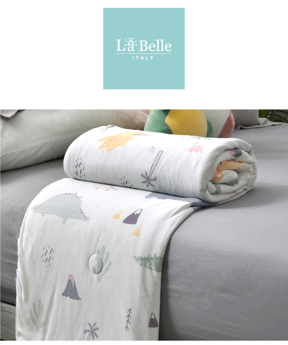 La Belle 100*120cm超涼感兒童蠶絲蛋白涼被(