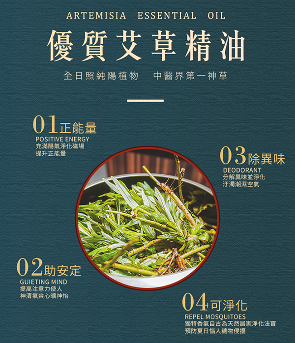 全日照純陽植物 中醫界第一神草