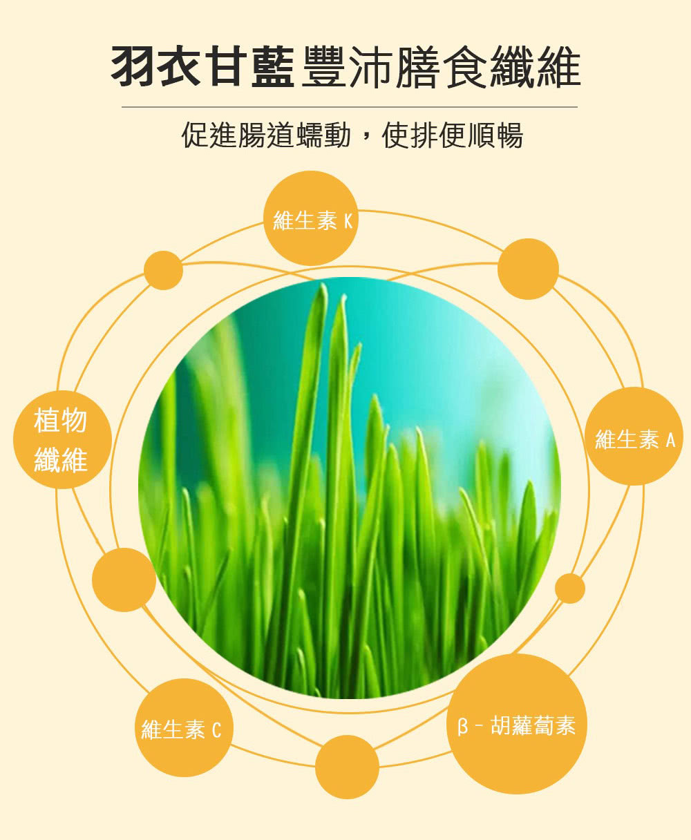 促進腸道蠕動,使排便順暢