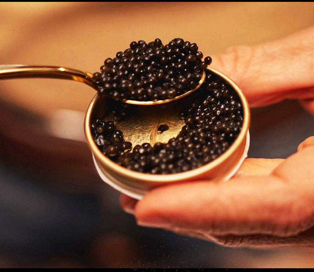 CAVIAR GIAVERI 珈費里 金黃魚子醬 30g(黃