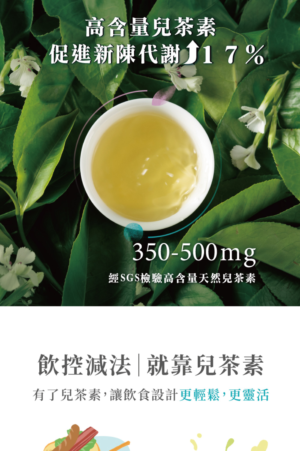 高含量兒茶素 促進新陳代謝 17% 經SGS檢驗高含量天然兒茶素 飲控減法就靠兒茶素 有了兒茶素,讓飲食設計更輕鬆,更靈活 