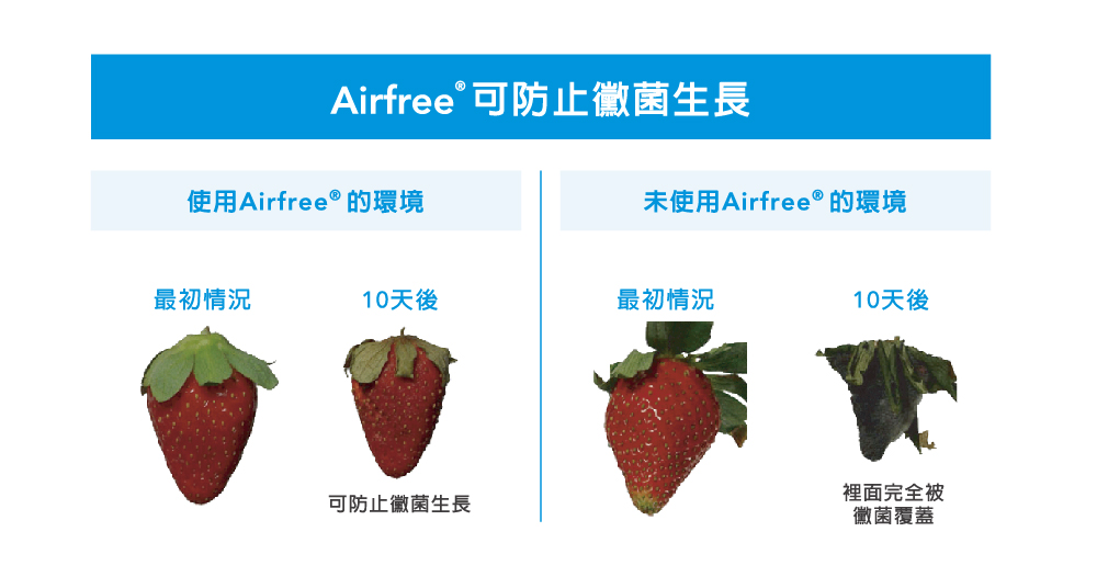 AirFree E60 - 詳情5