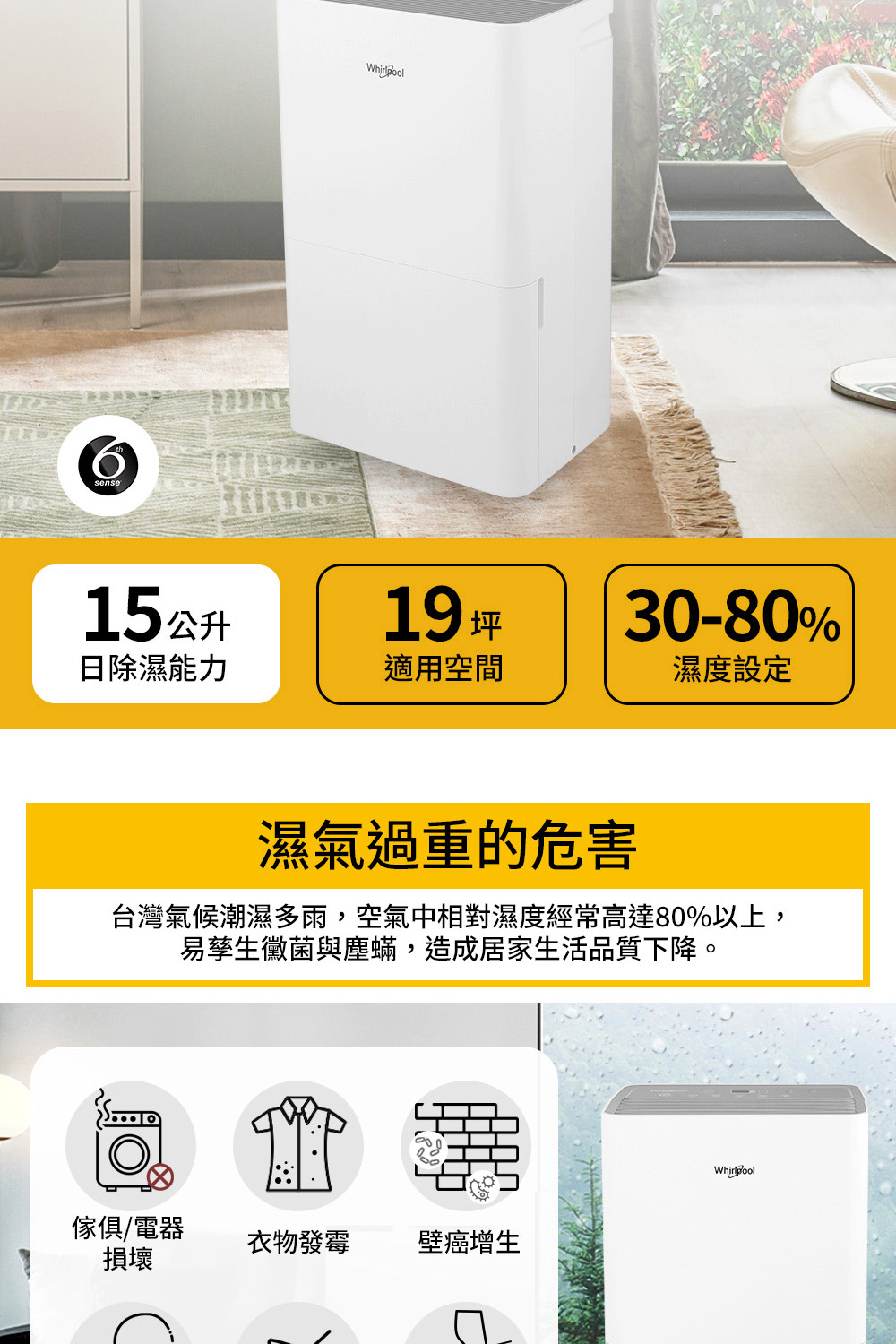 Whirlpool 惠而浦 一級能效 15公升 節能除濕機(