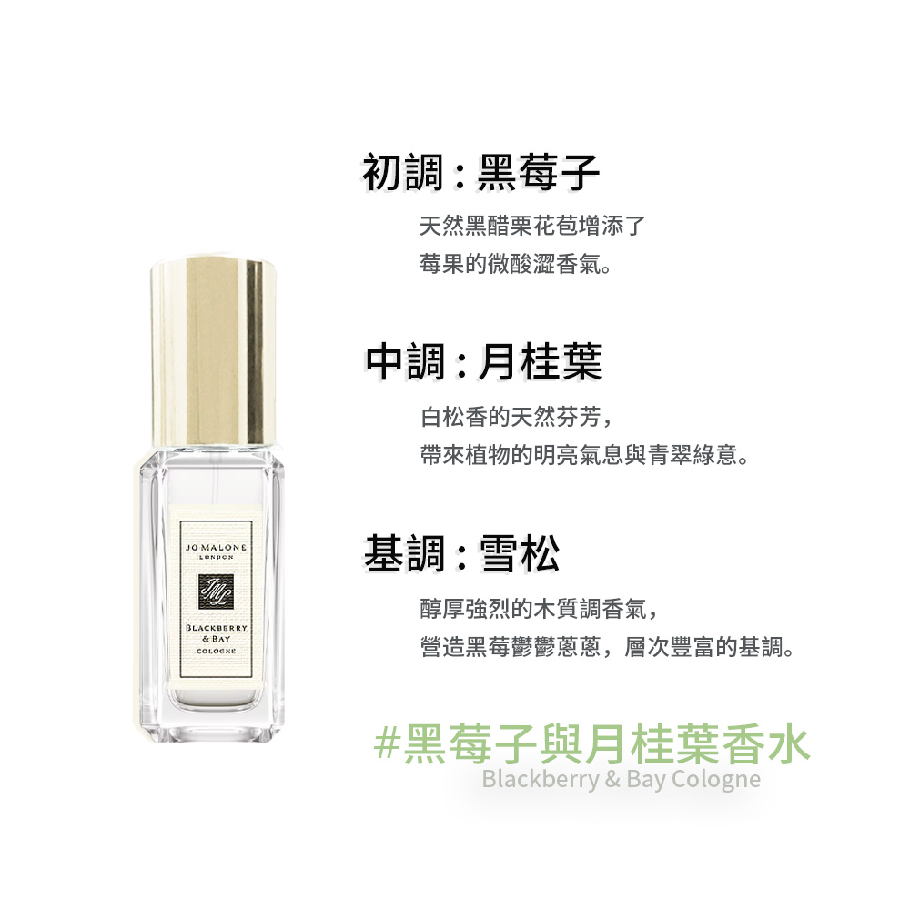 營造黑莓鬱鬱蔥蔥,層次豐富的基調。