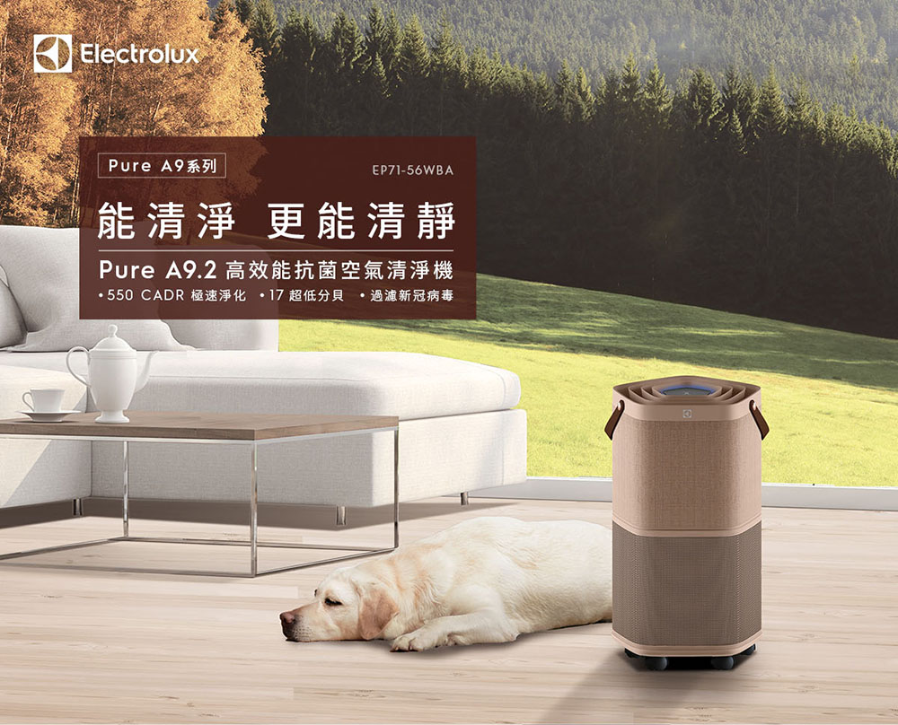 Electrolux 伊萊克斯 限時限量福利品 Pure A