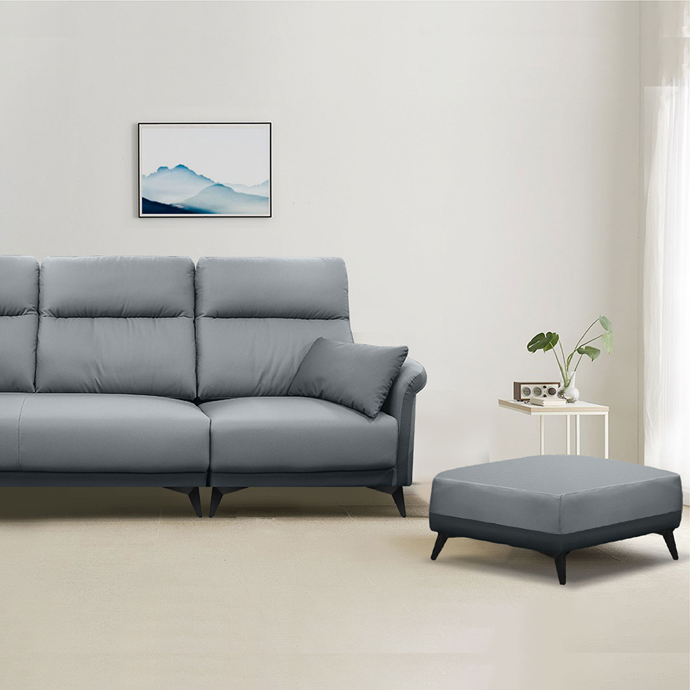 ASSARI 湯瑪斯機能L型沙發(附抱枕)優惠推薦