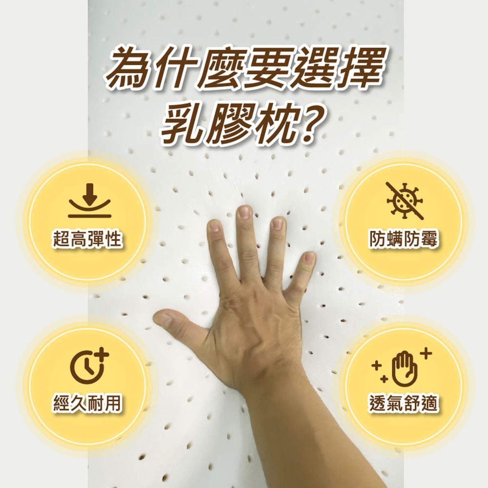 Andy Bedding 安迪寢具 石墨烯天然乳膠枕(人體工