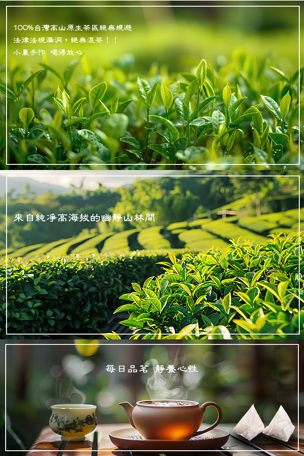 100%台灣高山原生茶區絕無規避 法律法規漏洞,絕無混茶 小農手作 喝得放心 來自純凈高海拔的幽靜山林間 每日品茗 靜養心性 