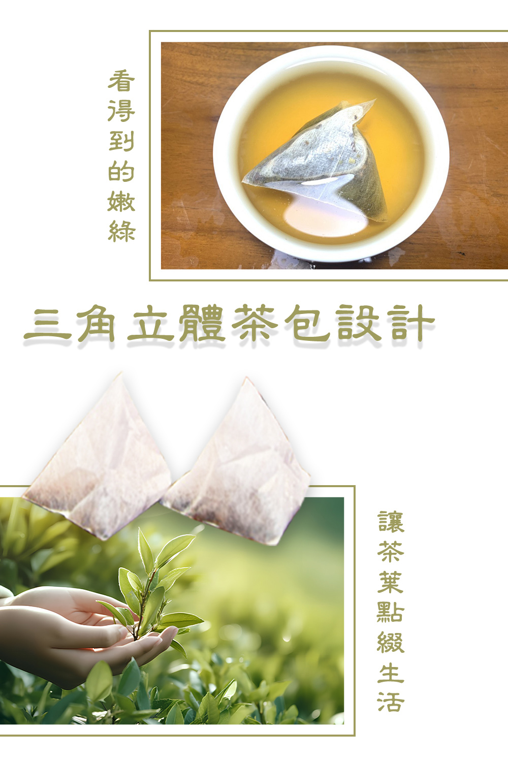 看得到的嫩綠 三角立體茶包設計 讓茶葉點綴生活 