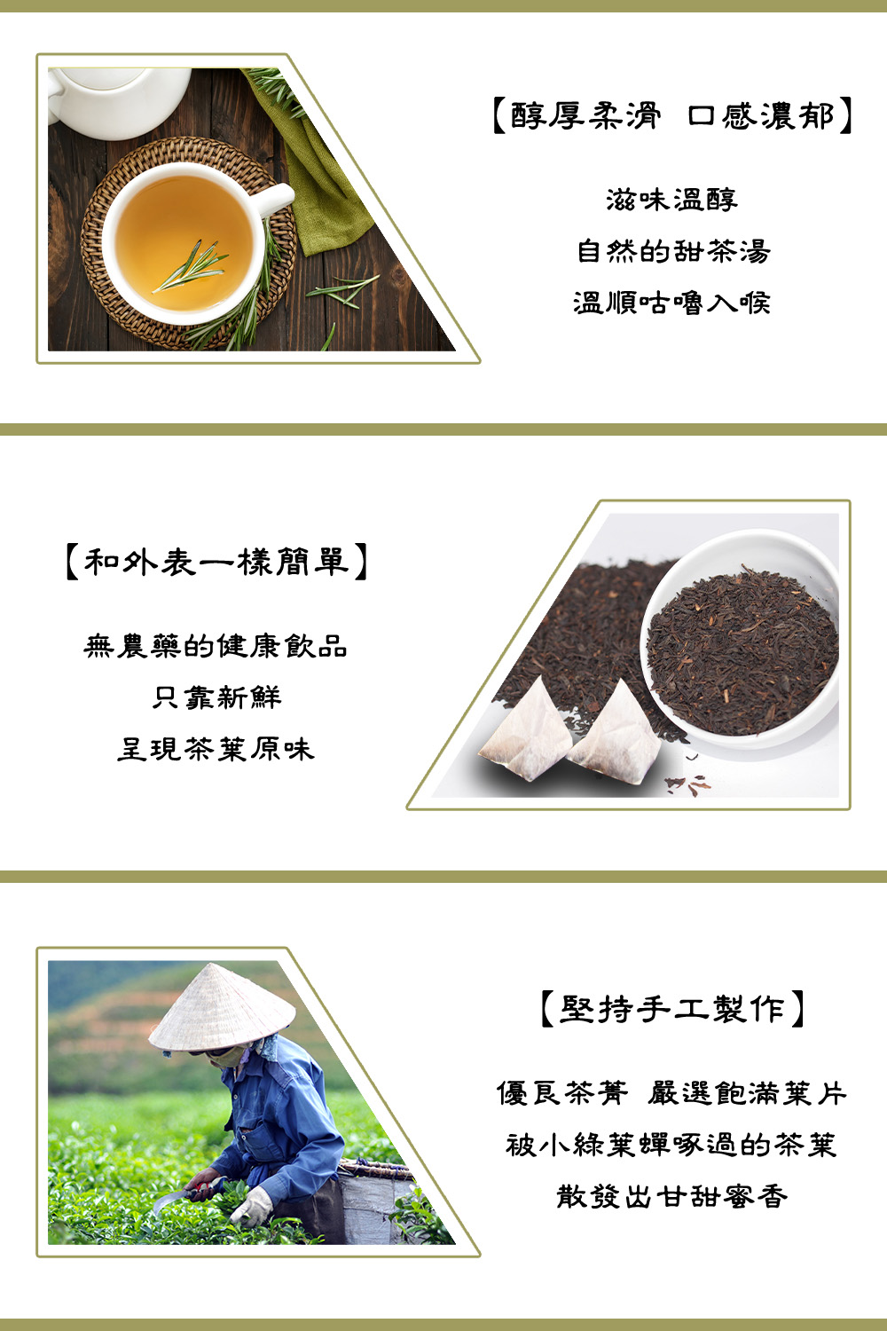 優良茶菁 嚴選飽滿葉片