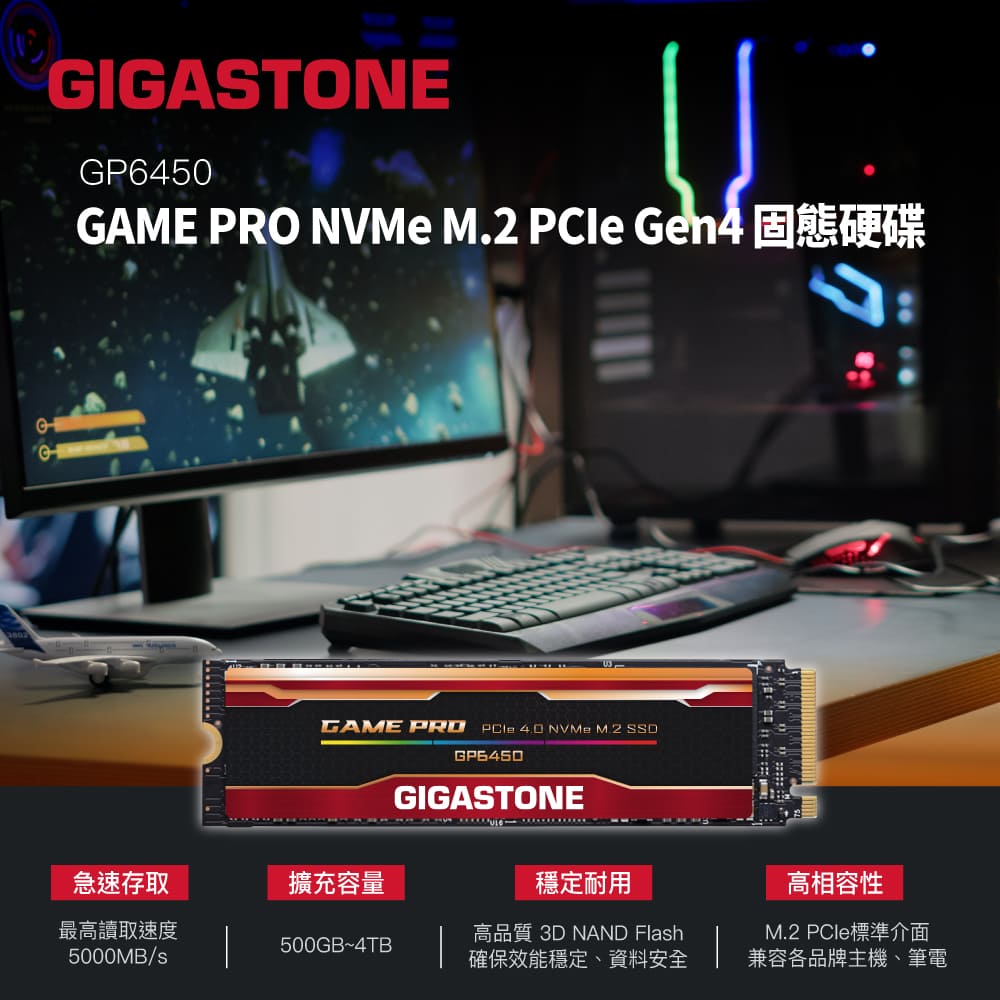 Gigastone 立達國際 GP6450 1TB PCIe