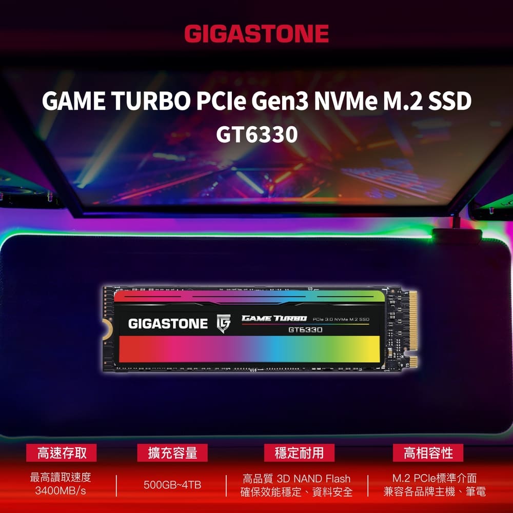 Gigastone 立達國際 GT6330 1TB PCIe