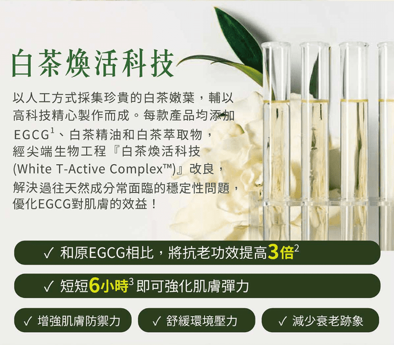 White TActive Complex改良,