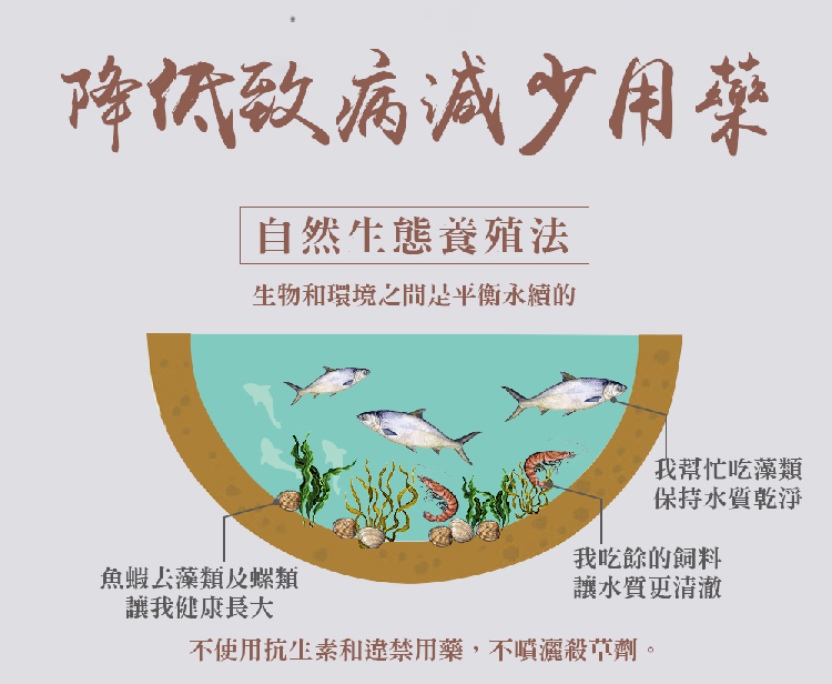 優鮮配 自然生態去刺虱目魚柳6包(300g/包)折扣推薦