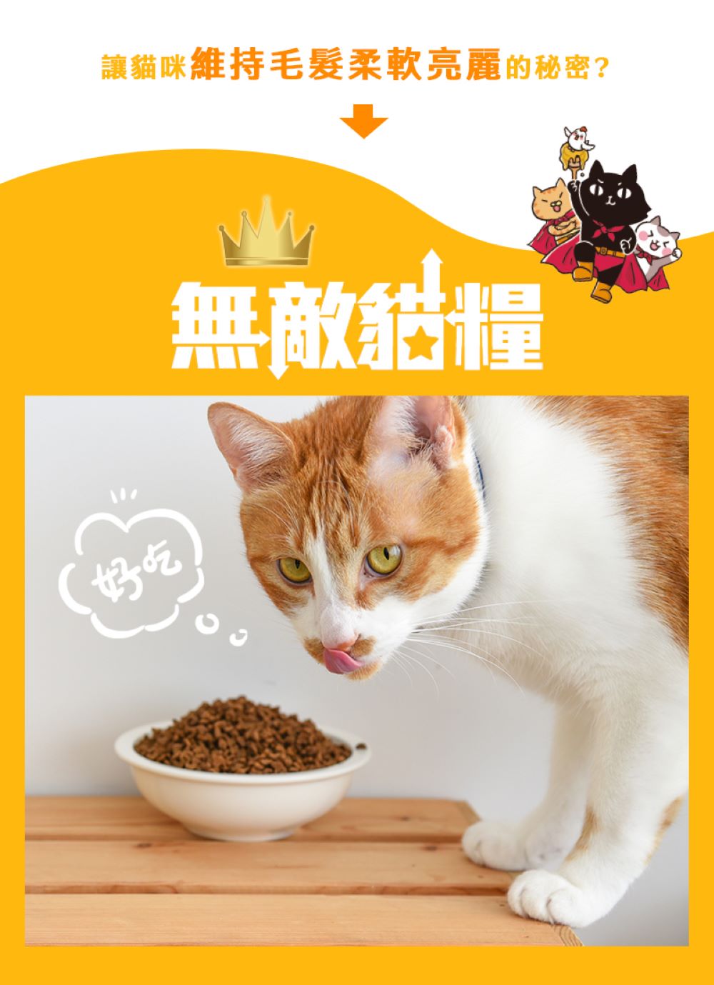 parkcat 貓樂園 無敵貓糧-鮮雞蜂王乳6kg(貓飼料/