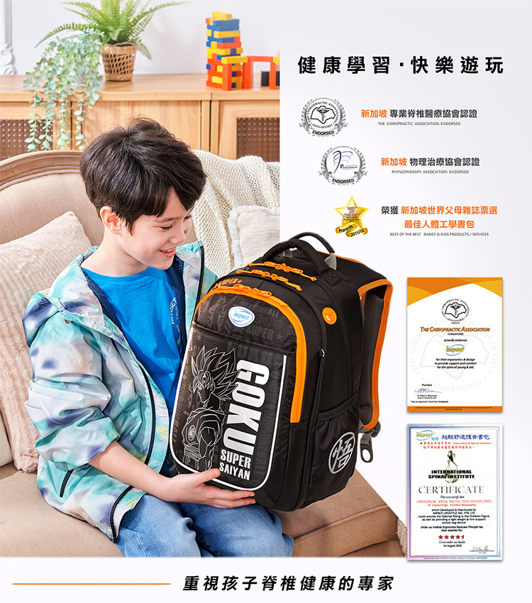 新加坡 專業脊椎醫療協會認證