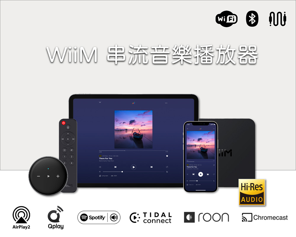 WiiM Pro串流音樂播放器(附 遙控器)折扣推薦