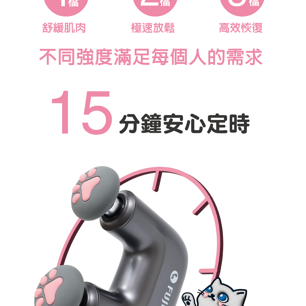 FUJI FG-297 - 詳情13