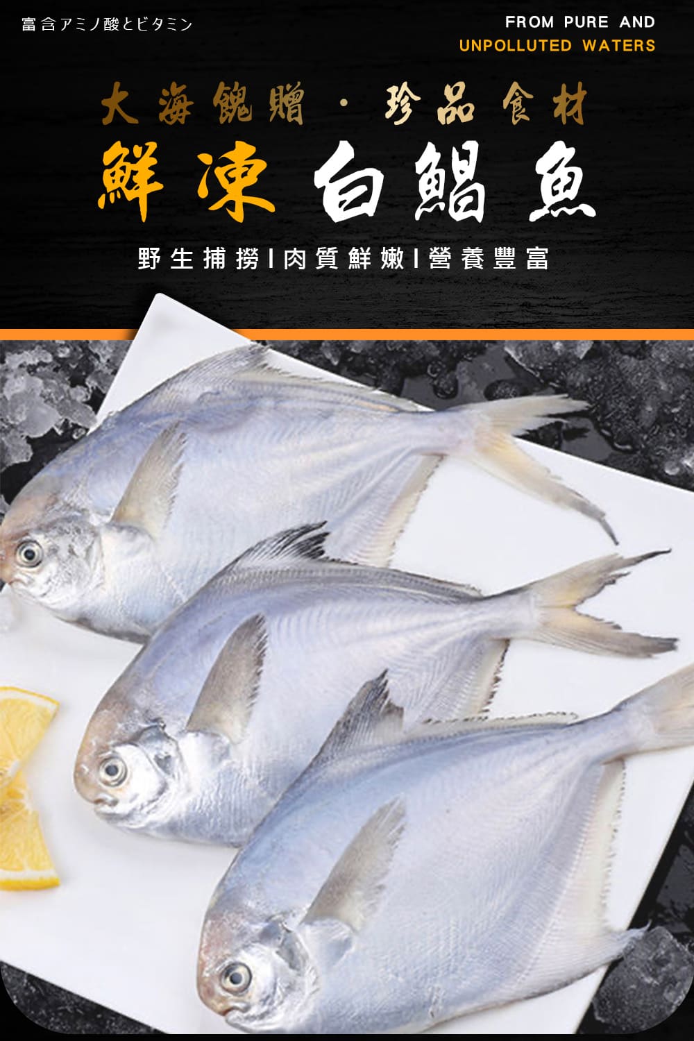 巧莊園 鮮嫩急凍野生白鯧魚/白鯧魚/肉多刺少(150~180