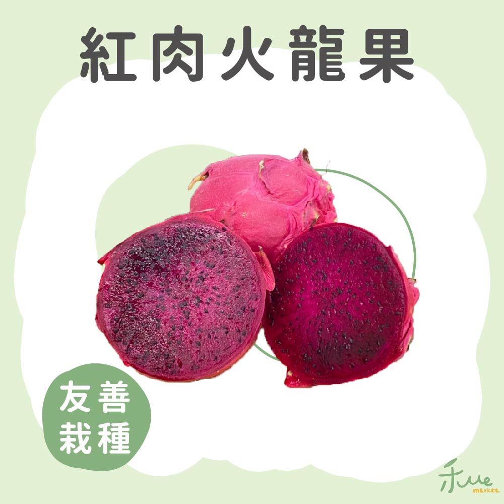 禾ME 草生紅龍果10斤1盒(紅肉大禮盒)品牌優惠