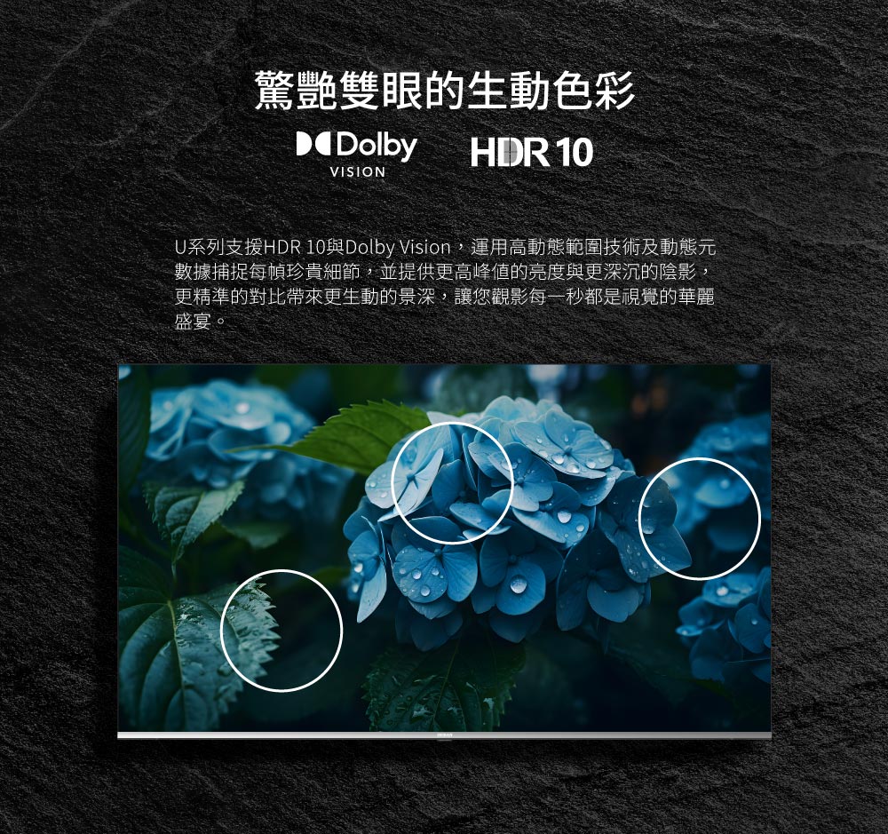 HERAN禾聯 HX-50UM330F - 詳情15