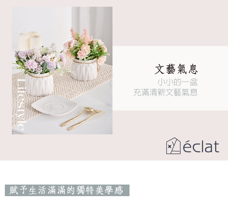 文藝氣息 小小的一盆 充滿清新文藝氣息 賦予生活滿滿的獨特美學感 