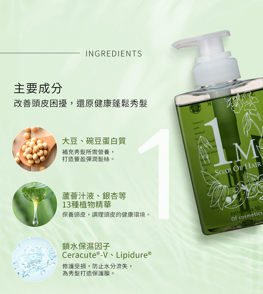 Of cosmetics 奧芙蔻 薄荷蓬鬆沁涼洗護組(液態皂