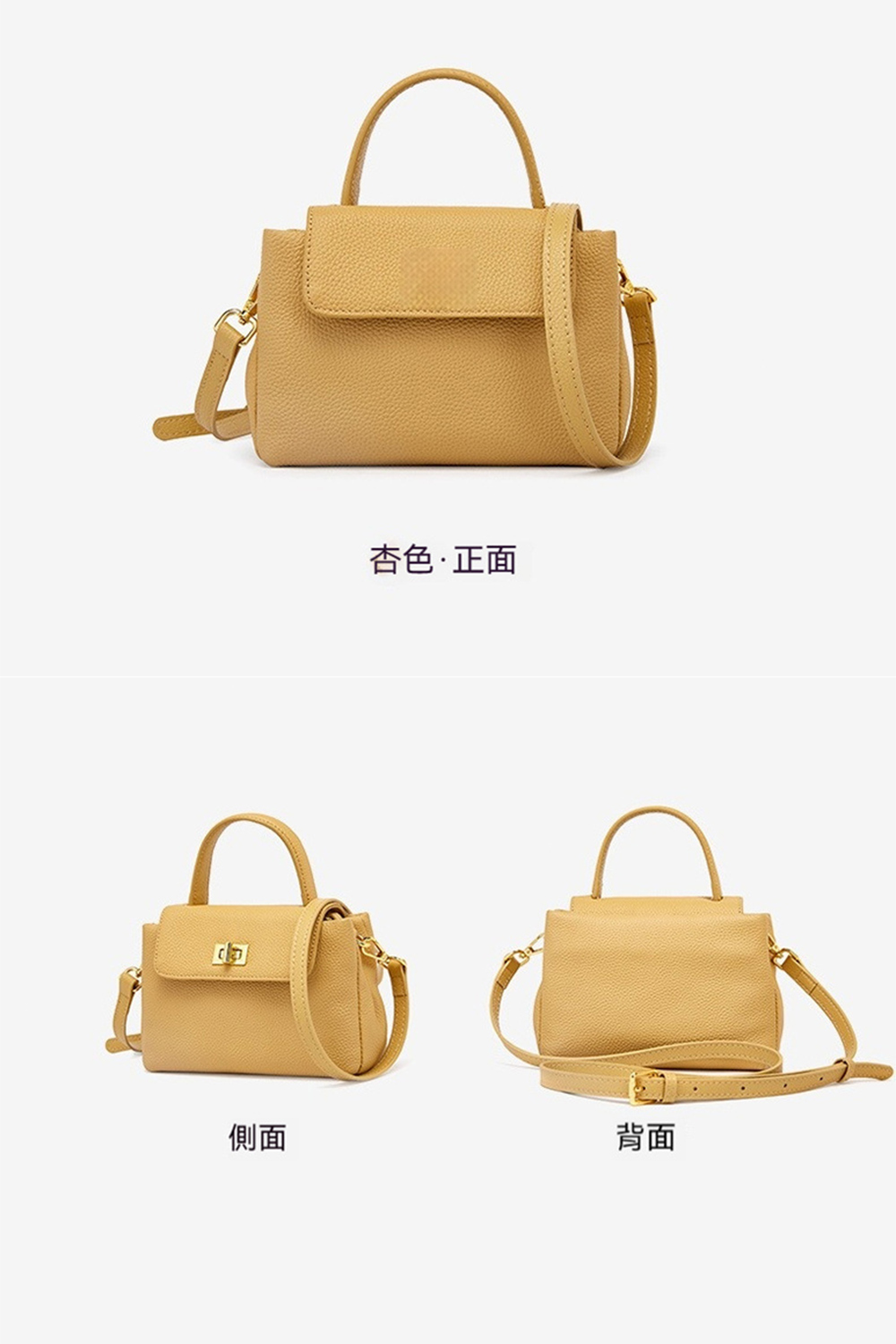 杏色正面 側面 背面 