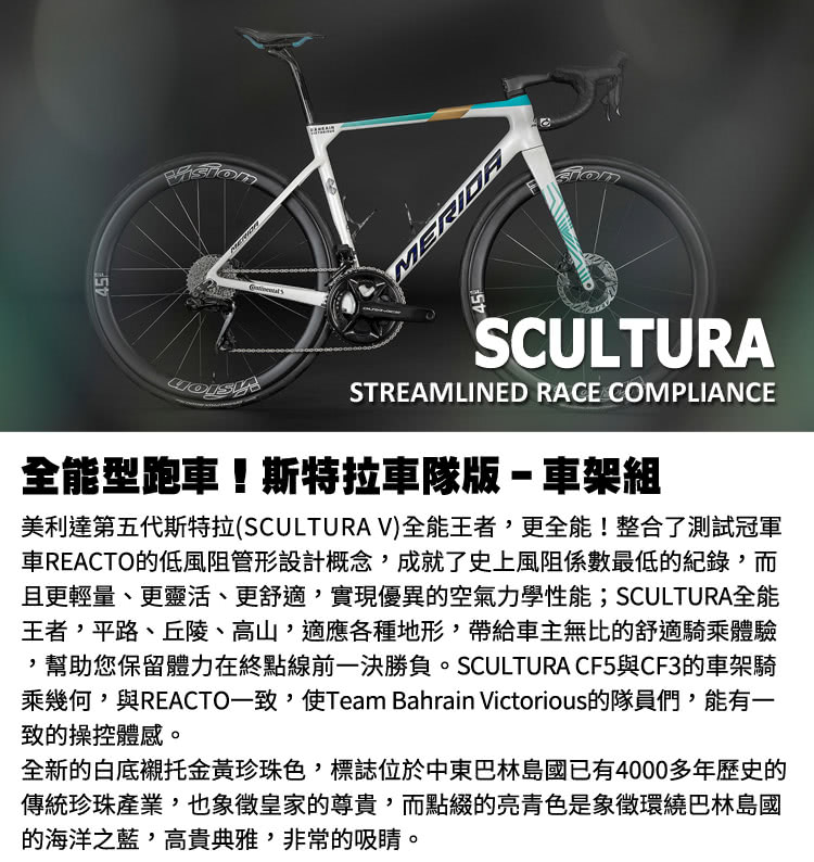 MERIDA 美利達 碳纖車架組 斯特拉 SCULTURA 