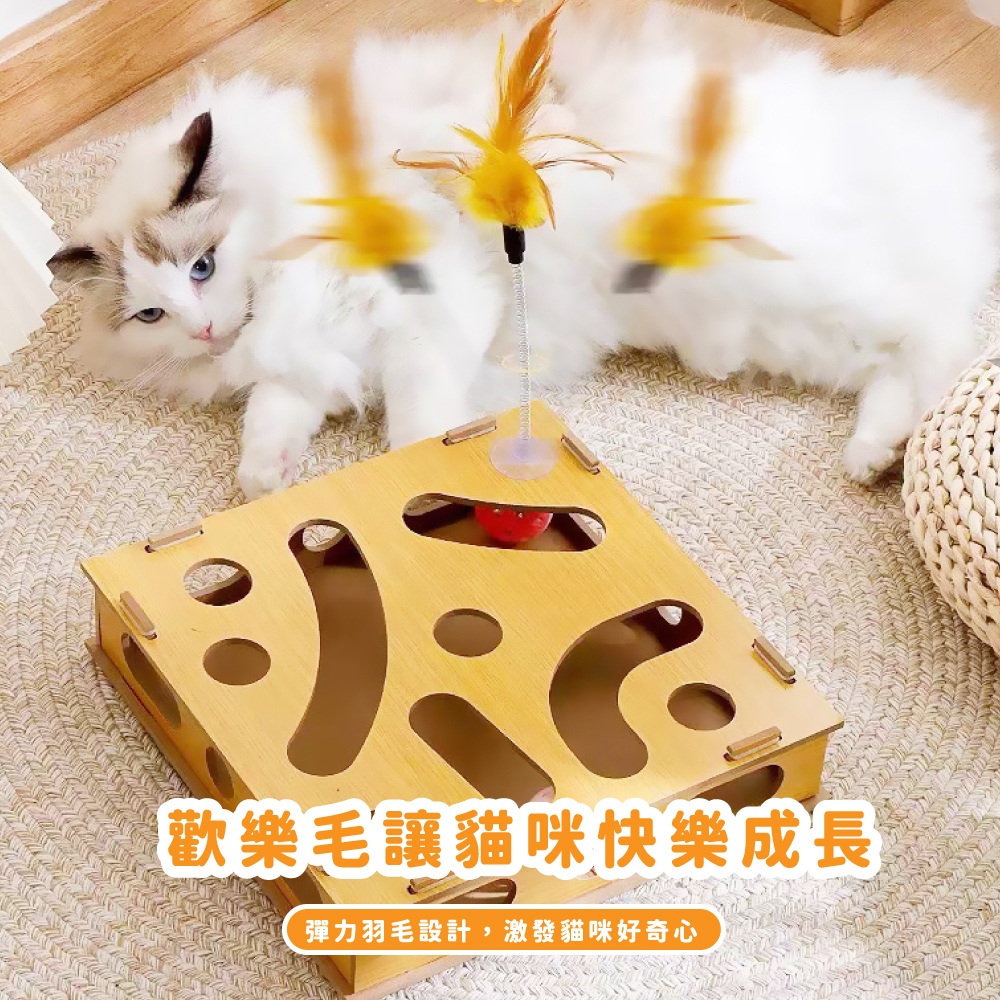 歡樂毛讓貓咪快樂成長 彈力羽毛設計,激發貓咪好奇心 