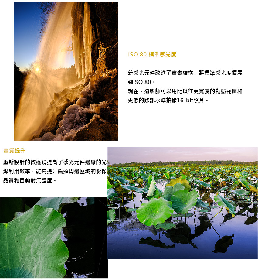 新感光元件改進了畫素結構,將標準感光度擴展