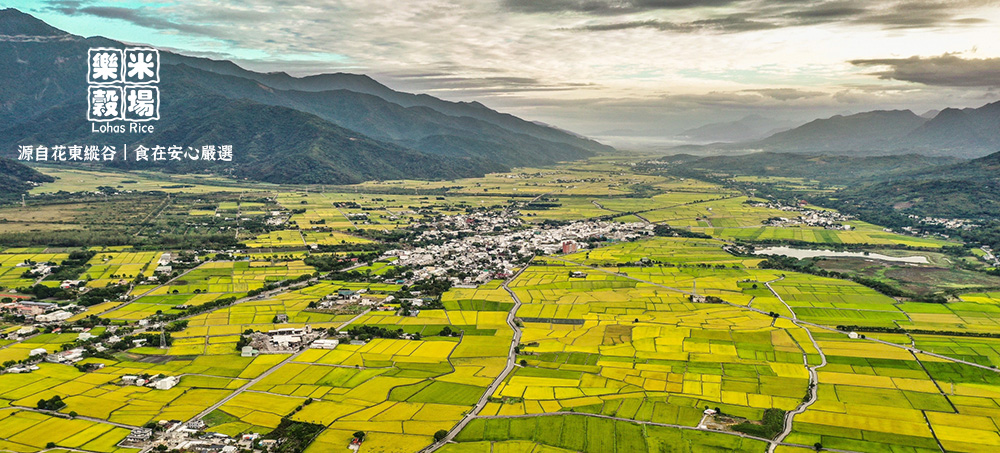 源自花東縱谷食在安心嚴選