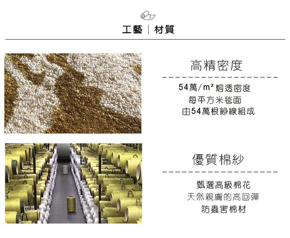 SDL Home 山德力 金彩羊毛地毯-160x230cm(