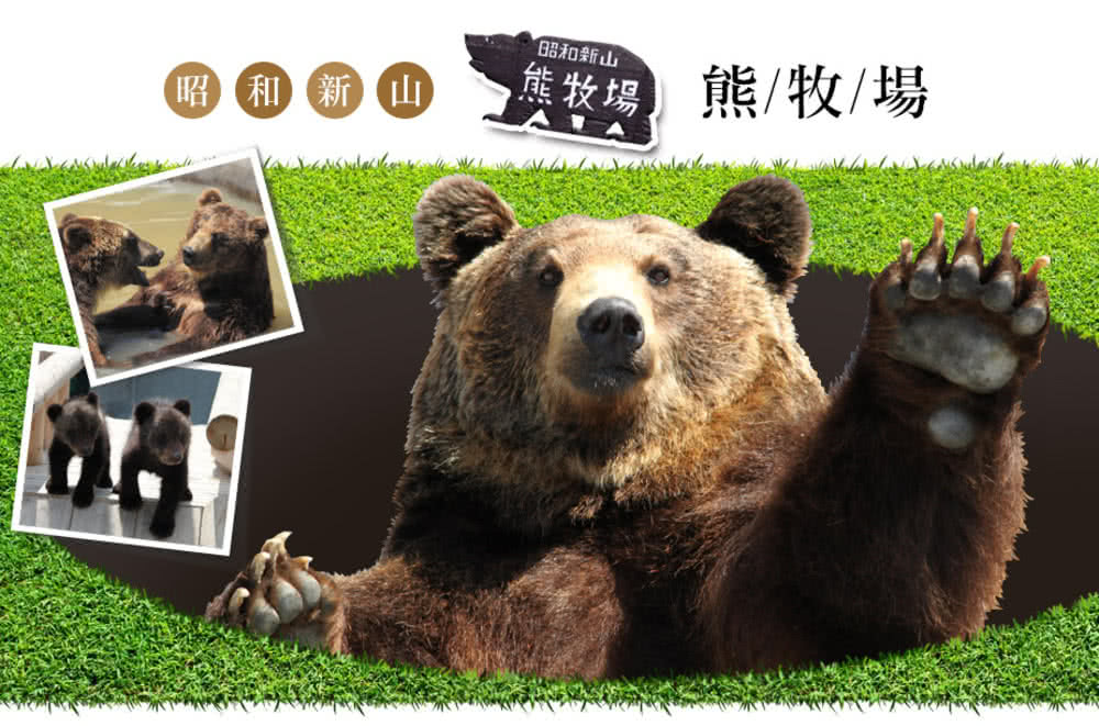 喜鴻假期 【星宇超值冬旅北海道５日】函館夜景、企鵝散步、札幌