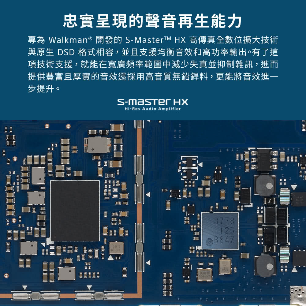 SONY 索尼 Walkman數位音樂播放器(NW-A306