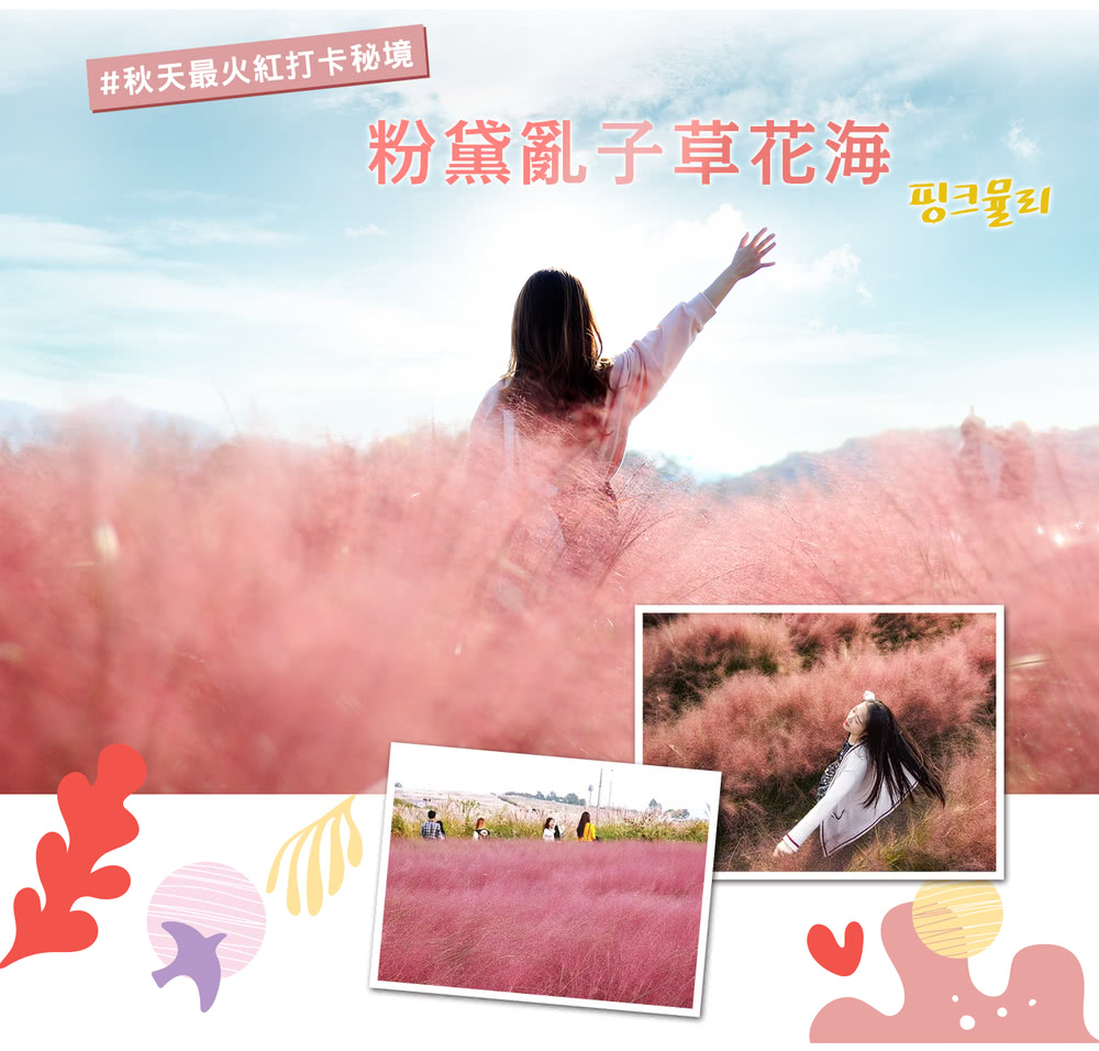 喜鴻假期 【高雄出發．秘境韓國賞楓5日】粉紅黛子草、碧草池樹