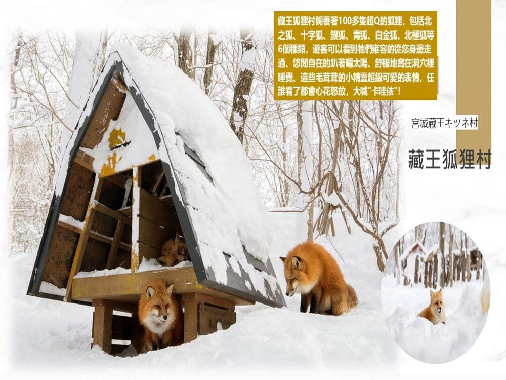 吉航旅遊 精緻假期東北藏王樹冰大內宿會津若松城銀山溫泉水戶偕