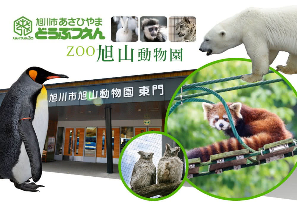 喜鴻假期 【夢幻冰戀北海道５日】破冰船巡航、旭山動物園、玩雪
