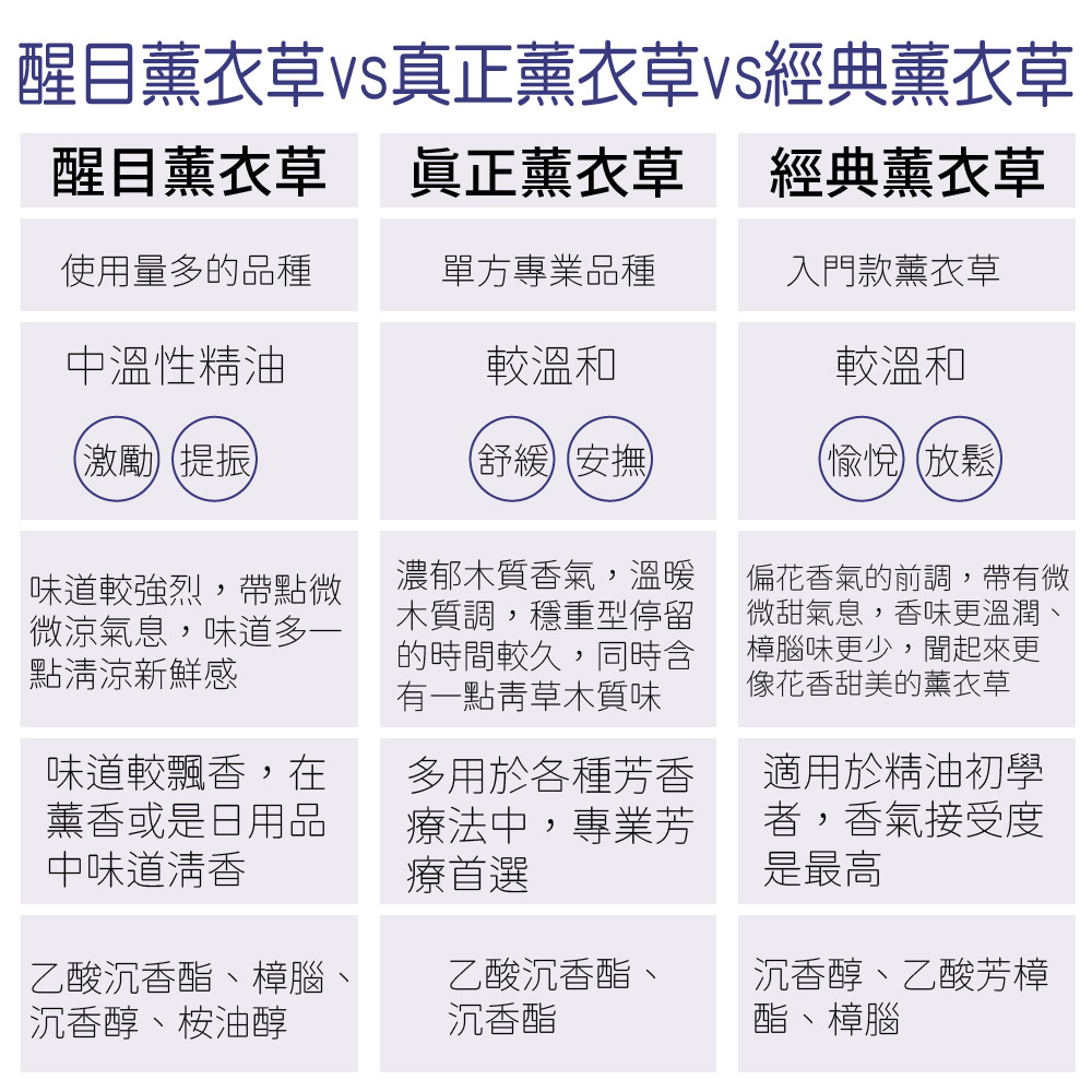 醒目薰衣草vs真正薰衣草VS經典薰衣草