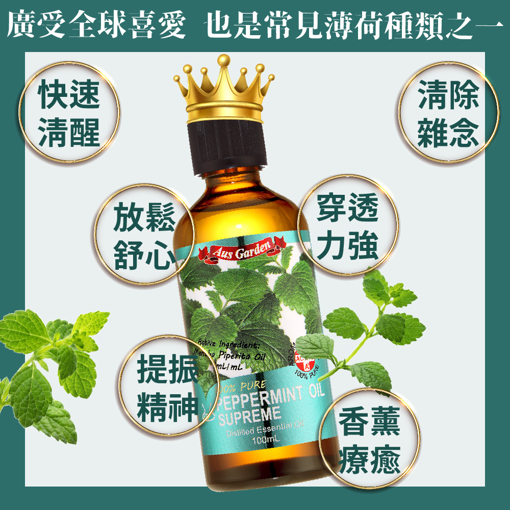 廣受全球喜愛也是常見薄荷種類之一