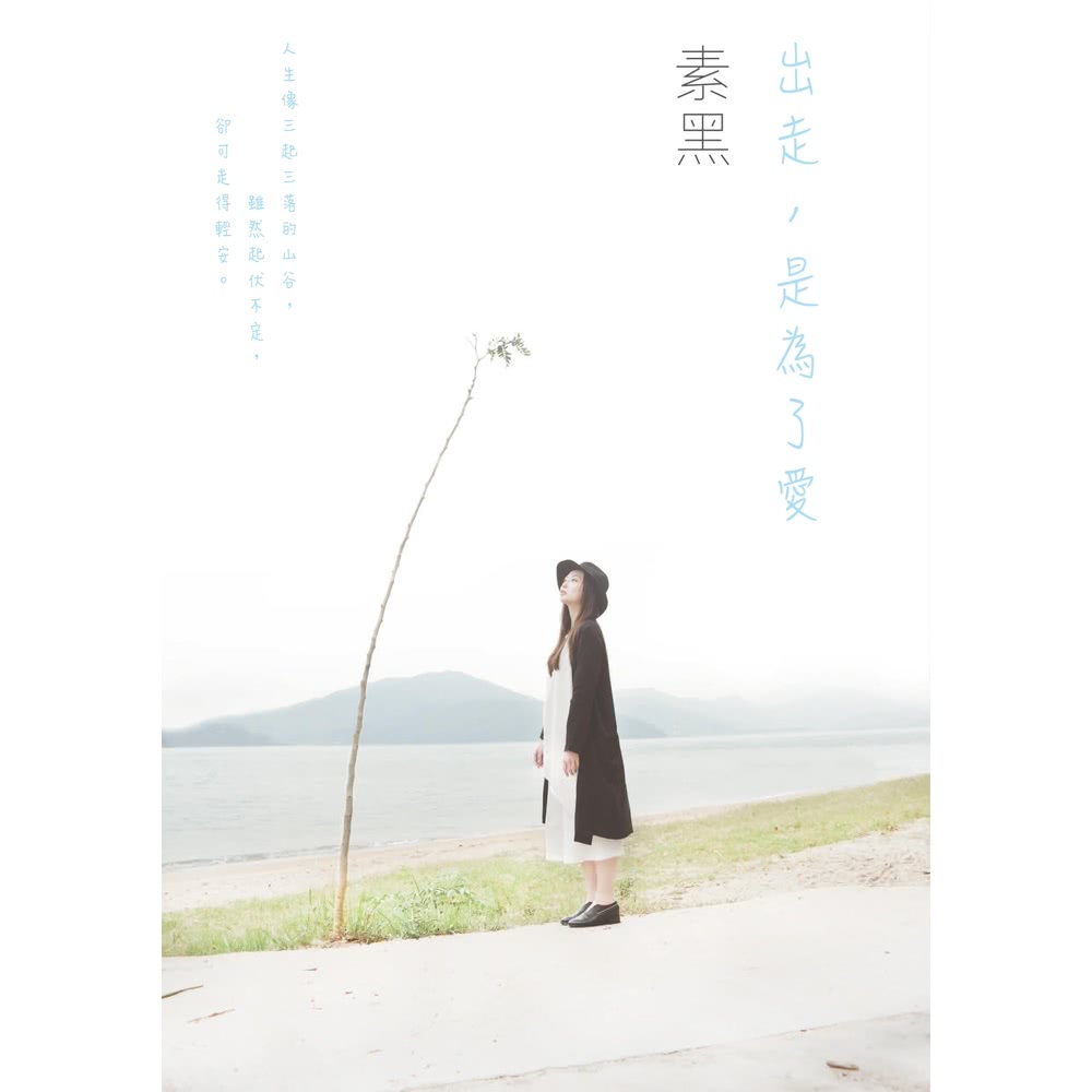 【momoBOOK】出走，是為了愛(電子書) 推薦