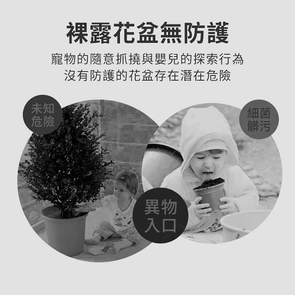 寵物的隨意抓撓與嬰兒的探索行為