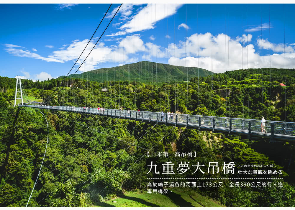 喜鴻假期 【九州親子探險趣５日】叢林巴士、海之中道海生館、別