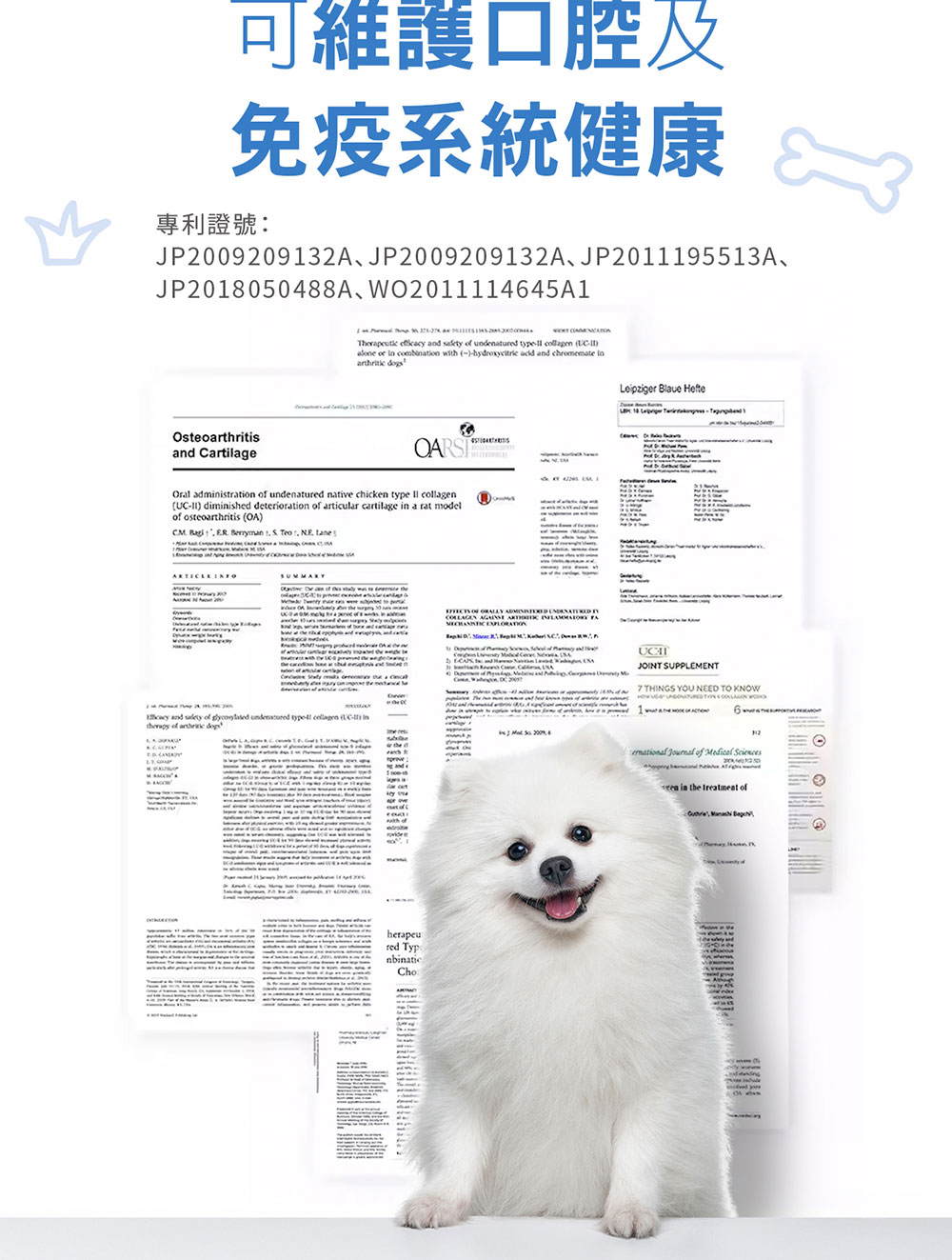 可維護口腔及 免疫系統健康2 專利證號